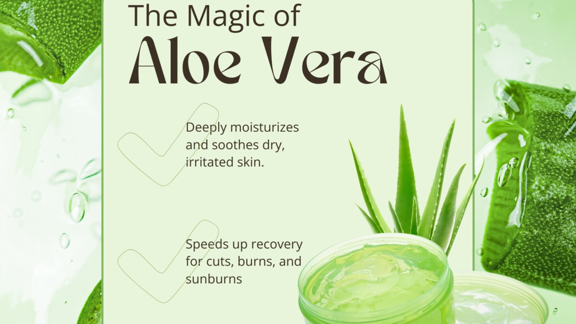 Benefits of Aloe Vera for Skin | Organic Beauty Store
