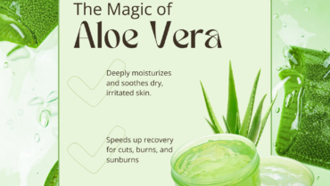 Benefits of Aloe Vera for Skin | Organic Beauty Store
