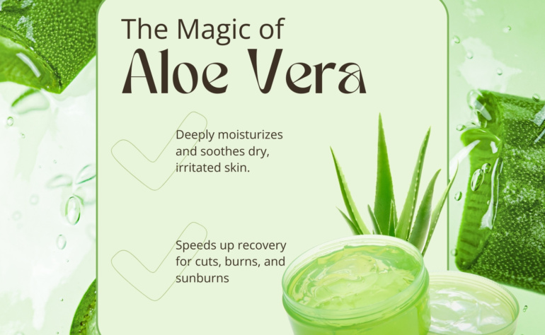 Benefits of Aloe Vera for Skin | Organic Beauty Store